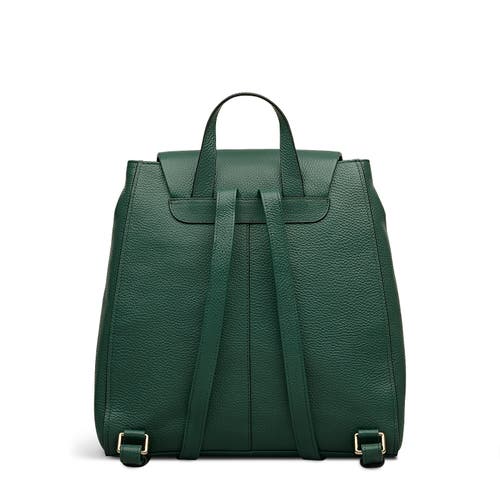 Radley Pickwick Medium Flapover Backpack In Brown