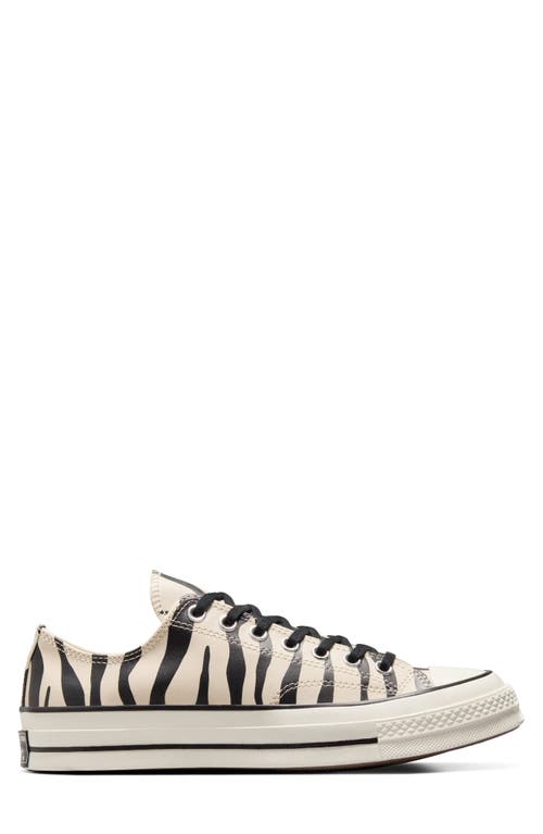 Converse Chuck 70 Glow-in-the-dark Zebra Print Sneakers Light Dune In Light Dune/black/egret