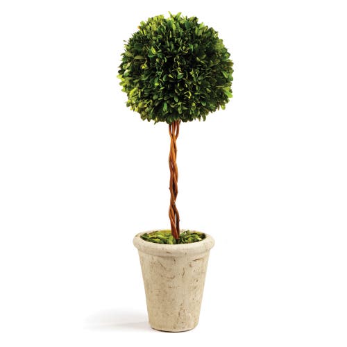 Napa Home & Garden Boxwood Single Faux (fake) Sphere Topiary 18.5" In Multi