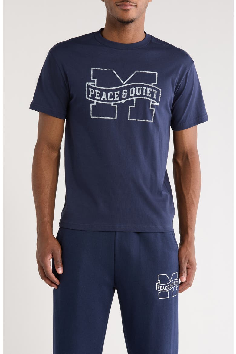 Banner Logo Cotton T-Shirt, Main, color, NAVY