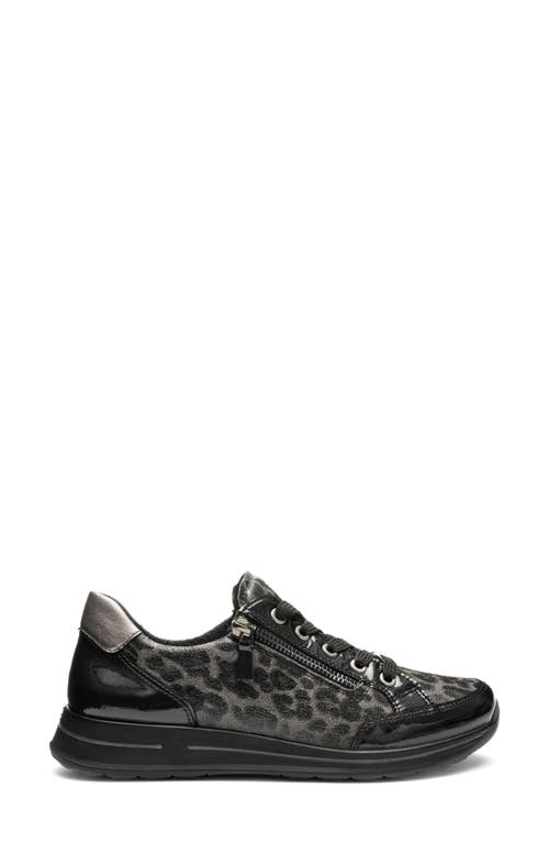 Ara Oleanna Zip Sneaker In Multi
