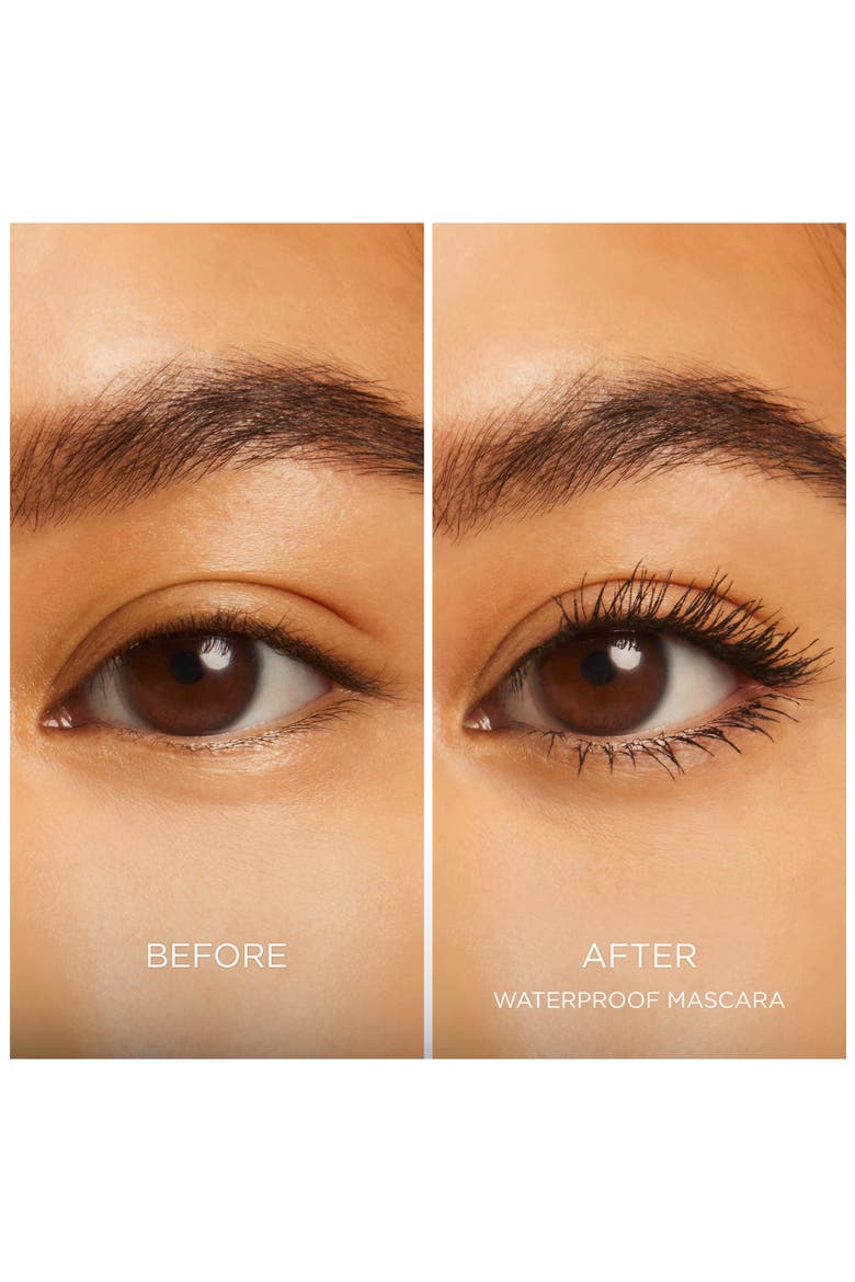 Fabulous Eyes Waterproof Mascara, Alternate, color, BLACK