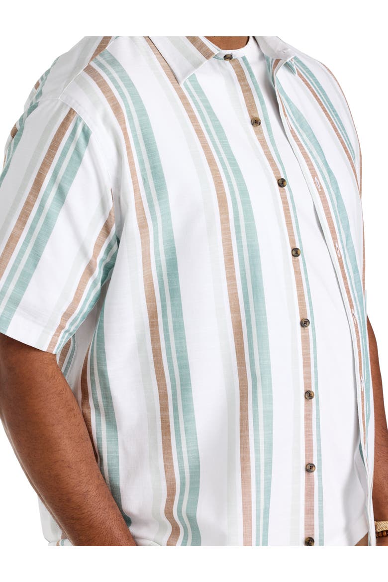 Big & Tall Striped Sport Shirt, Alternate, color, MULTI
