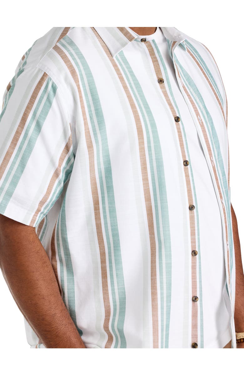 True Nation by DXL Big & Tall Striped Sport Shirt, Alternate, color, Multi