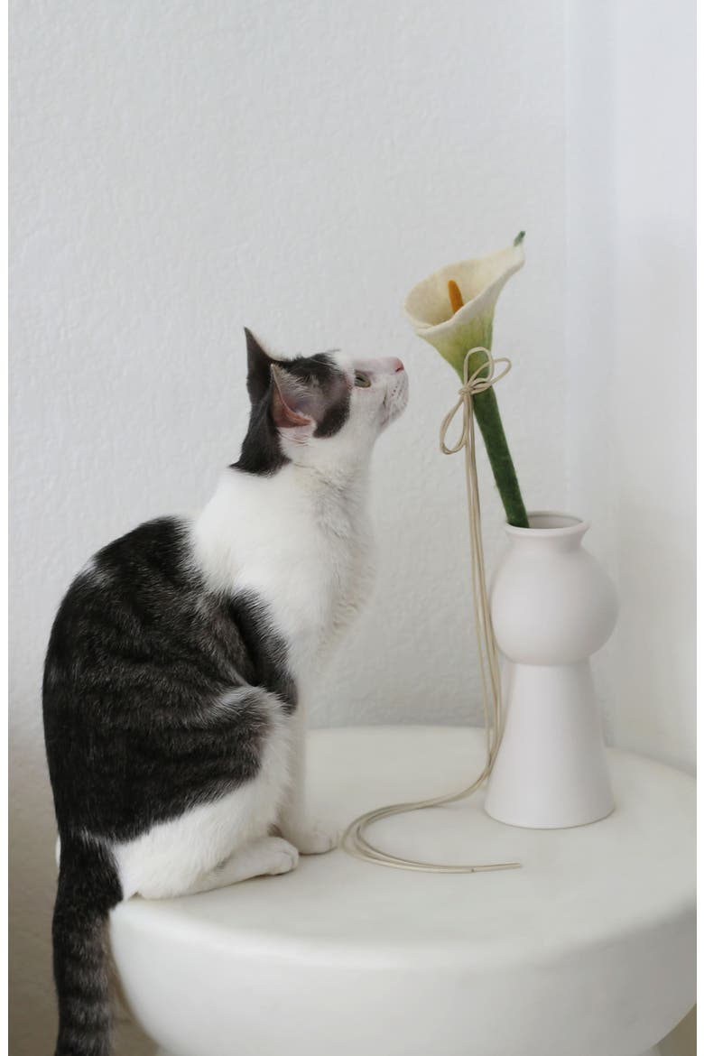 Flora Wand Cat Toy, Alternate, color, NONE