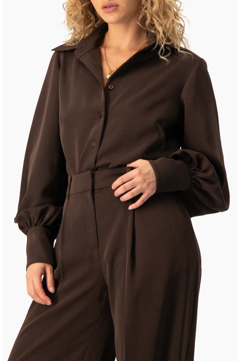 Long-Sleeve Puff-Sleeve Point-Collar Button-Front Shirt, Alternate, color, Brown