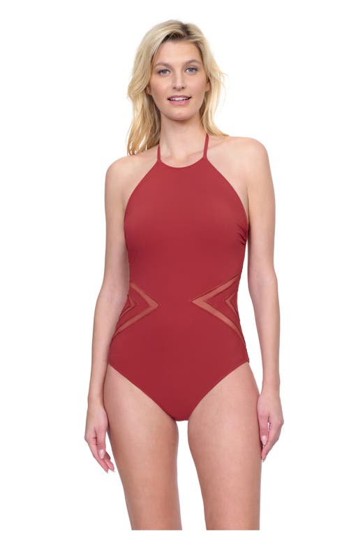 Gottex Day Dreamer High Neck Halter One Piece In Spice