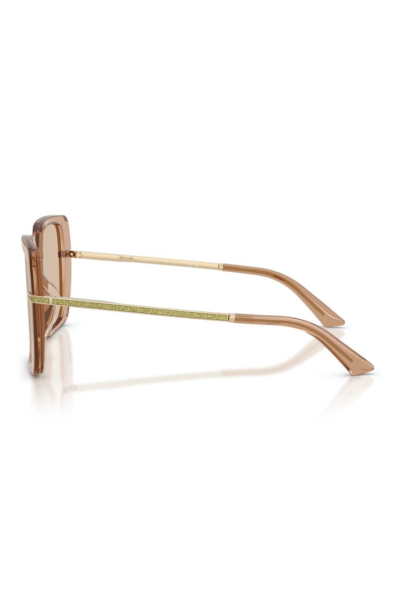 Pati 55mm Square Sunglasses, Alternate, color, TRANSPARENT TAN / LIGHT BROWN