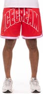 ICECREAM Dippin' Mesh Shorts