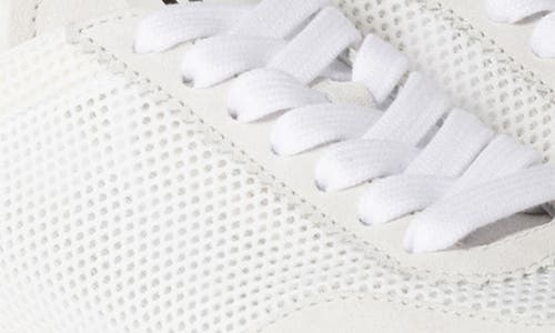 Shop Miu Miu Plume Mesh Low Top Sneaker
