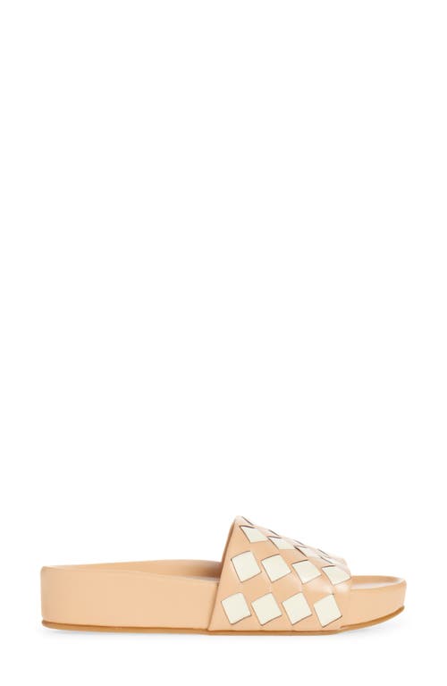 Beek Pelican Slide Sandal In Eggshell/beach