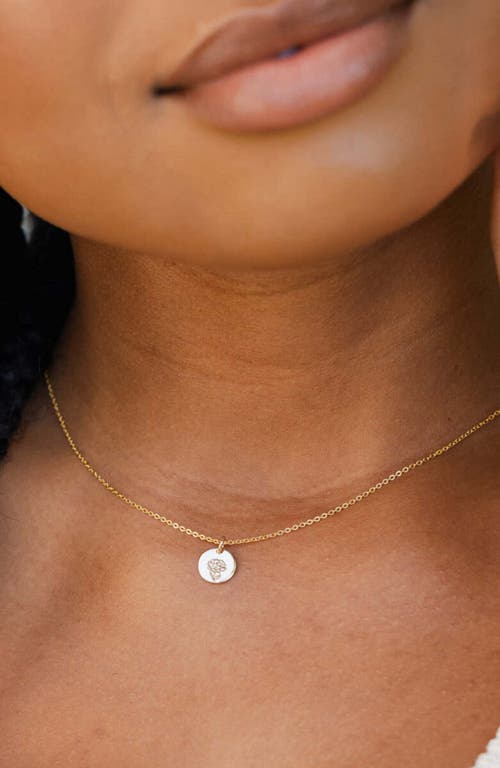 Made By Mary January Birth Flower Necklace In Silver