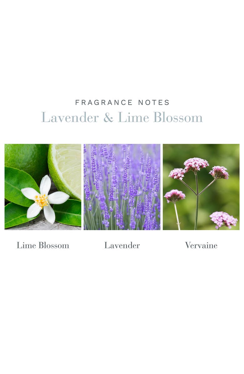 Antica Farmacista Lavender & Lime Blossom Home Ambiance Perfume, Alternate, color,