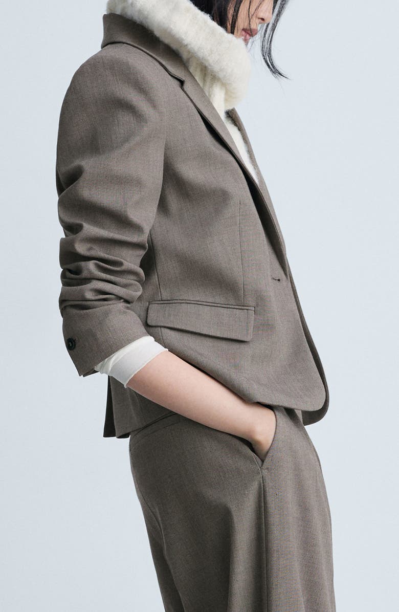 MANGO Helena Crop Blazer, Alternate, color, Brown