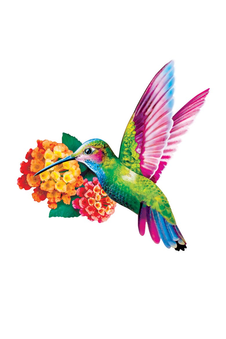 Hummingbird 100 Piece Shaped Puzzle, Alternate, color, Multicolor