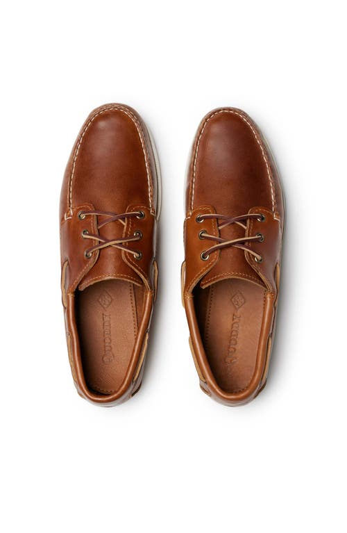 Quoddy Head Boat Shoe In Brown