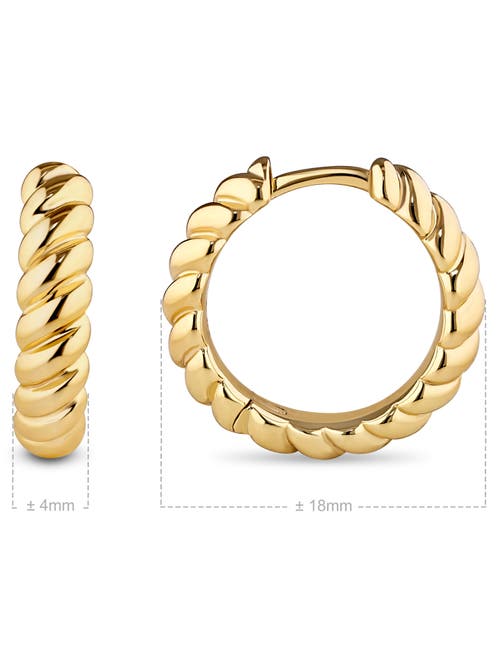 Devata Rope Hoop Earrings In Gold