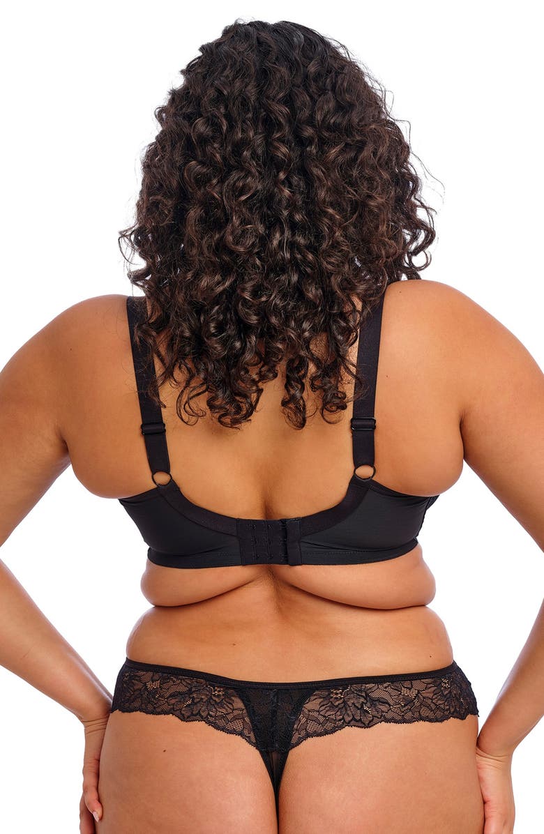 Elomi Brianna Lace & Mesh Thong, Alternate, color, 