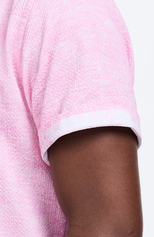 Robert Graham Reid Geo Textured Short Sleeve Cotton Button-up Shirt In Pink
