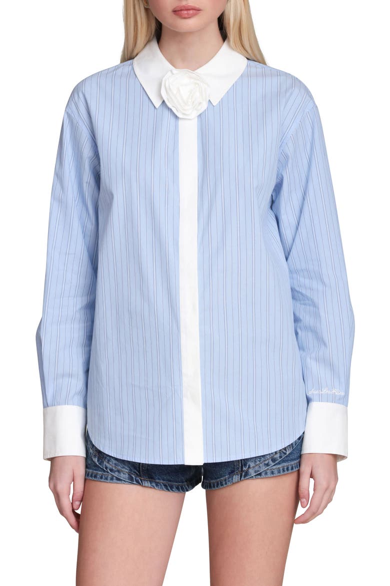 Rose Stripe Shirt, Main, color, BLUE-WHITE STRIPE MULTI