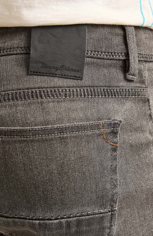 Tommy Bahama Indigo Palms™ Straight Leg Jeans