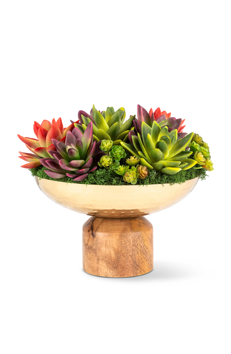 CocoBella Petra Succulent Wooden Pedestal Arrangement, Main, color, Multi-Color