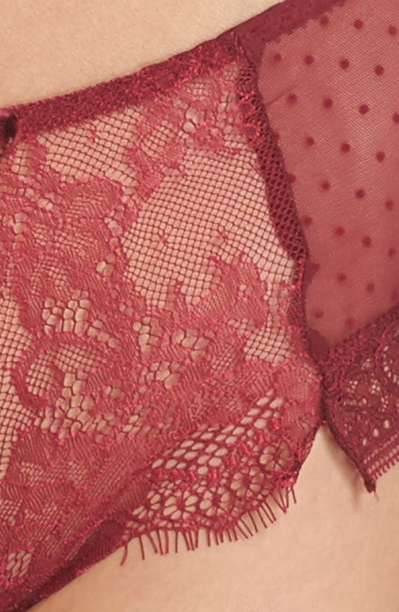 Passionata by Chantelle 'Blossom' Sheer Lace Hipster Briefs, Alternate, color, 