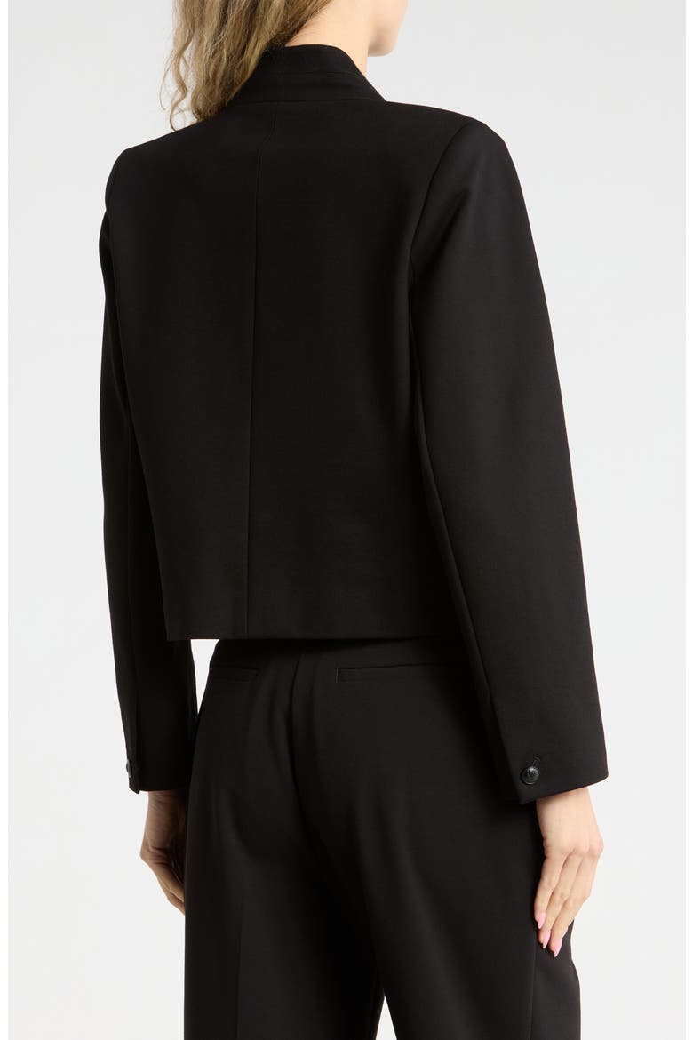 Cole Ponte Blazer, Alternate, color, BLACK