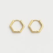 Ivy & Pearl Co. The Wentworth Petite Hoops
