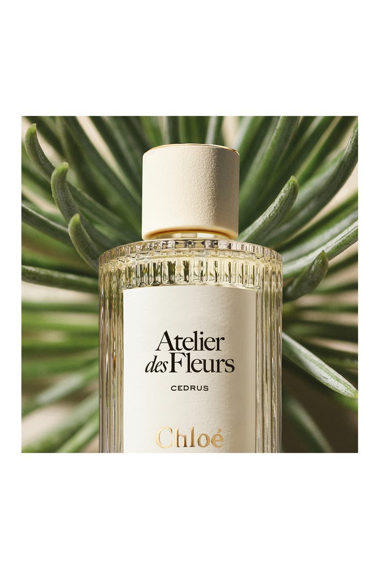 Atelier des Fleurs Cedrus Eau de Parfum (Women) | Nordstrom