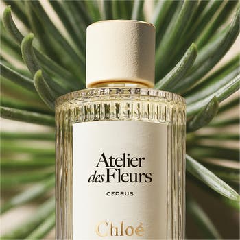 Atelier des Fleurs Cedrus Eau de Parfum