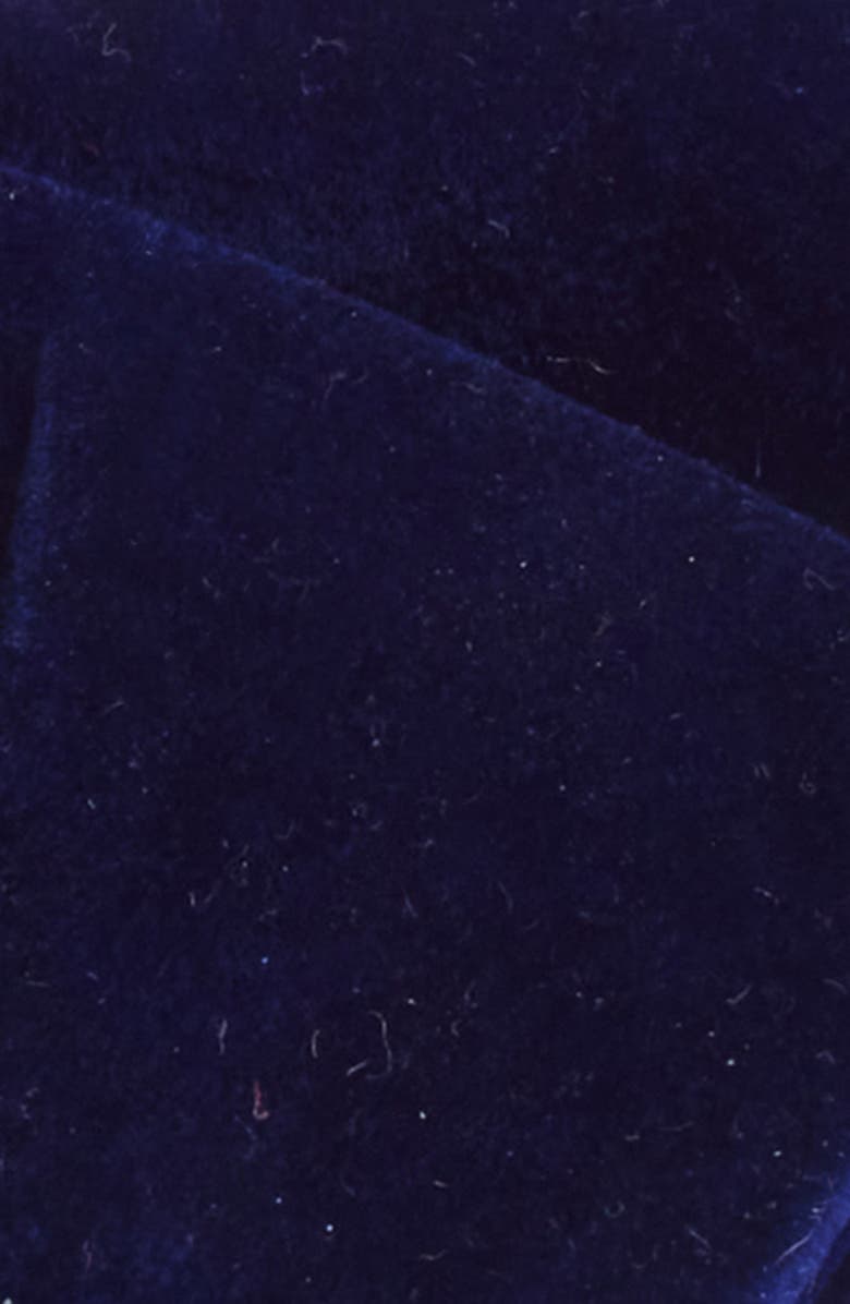 CLIFTON WILSON Velvet Silk Butterfly Bow Tie, Alternate, color, Blue