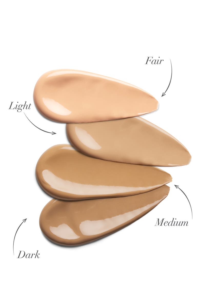 Complexion Perfector SPF 20 Tinted Moisturizer, Alternate, color, LIGHT