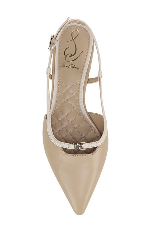 Sam Edelman Cohen Pointed Toe Flat In Oat/modern Ivory