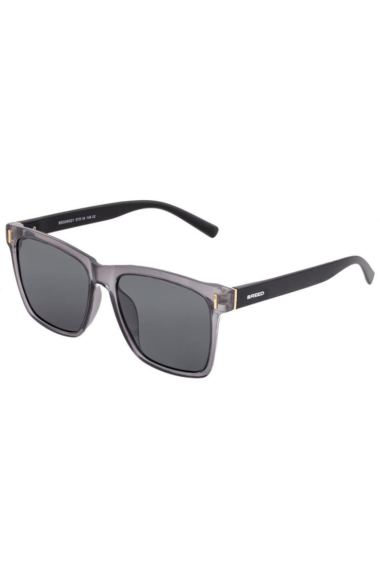Pictor Polarized Sunglasses, Main, color, Grey/Black