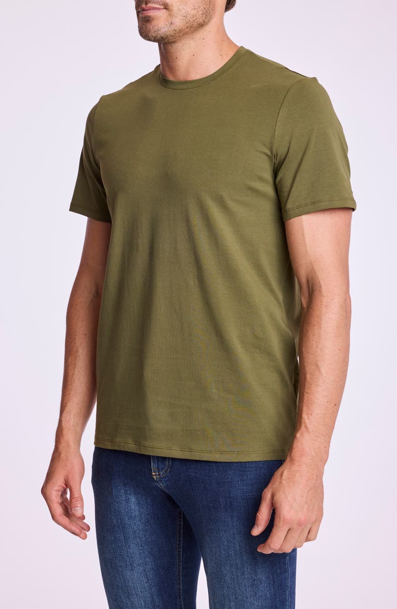 PAISLEY & GRAY Lucas Crewneck T-Shirt, Alternate, color, Green