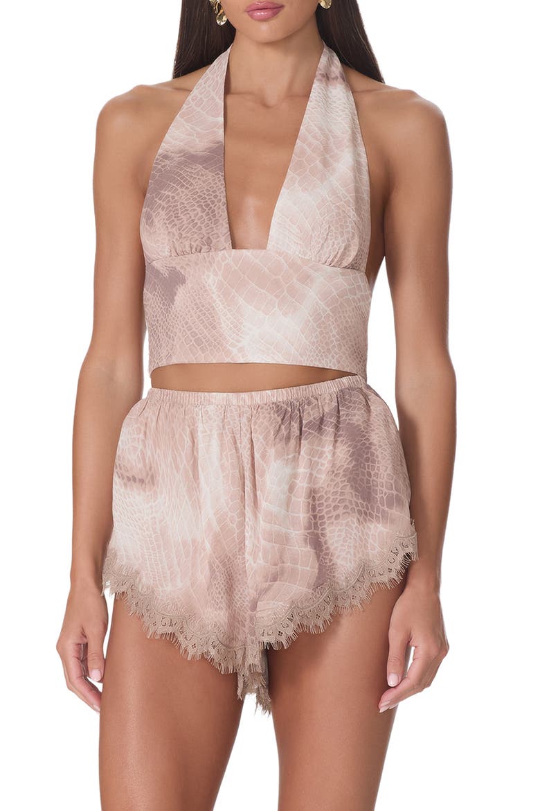 Sylas Plunge Halter Neck Crop Top, Main, color, DUNE SNAKE