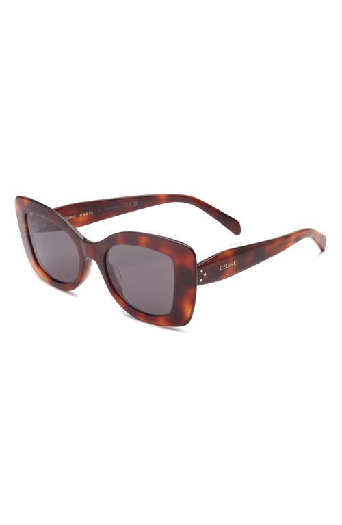 Celine 3 Dots Butterfly Sunglasses In Brown