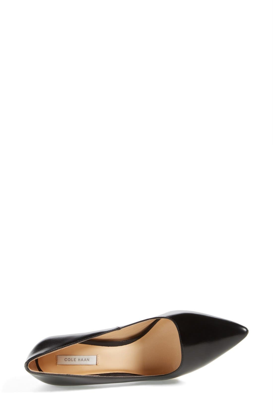 'Bradshaw' Pointy Toe Pump, Alternate, color, BLACK