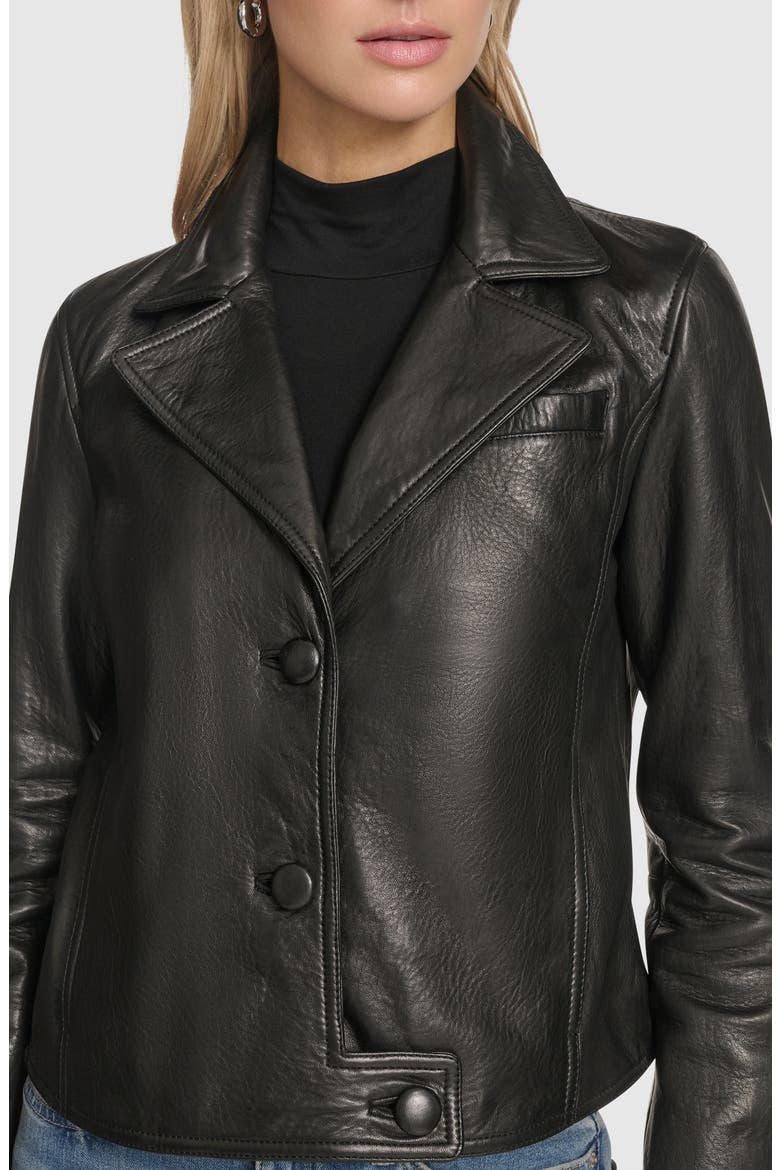 Paluma Leather Jacket, Alternate, color, BLACK