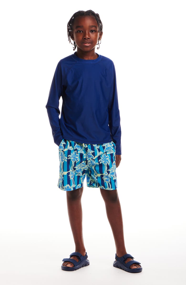 Andy & Evan Kids' Long Raglan Sleeve Rashguard, Alternate, color, 