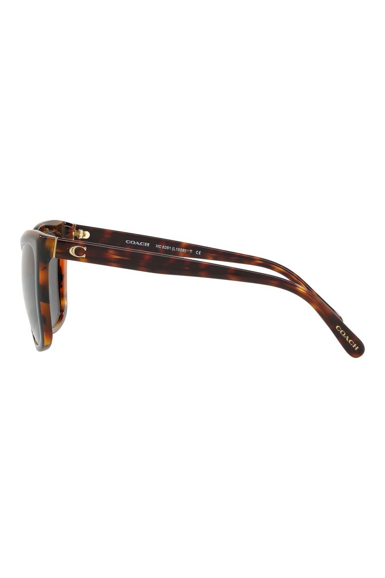 56mm Cat Eye Sunglasses, Alternate, color, TORTOISE BLACK/ BLACK SOLID