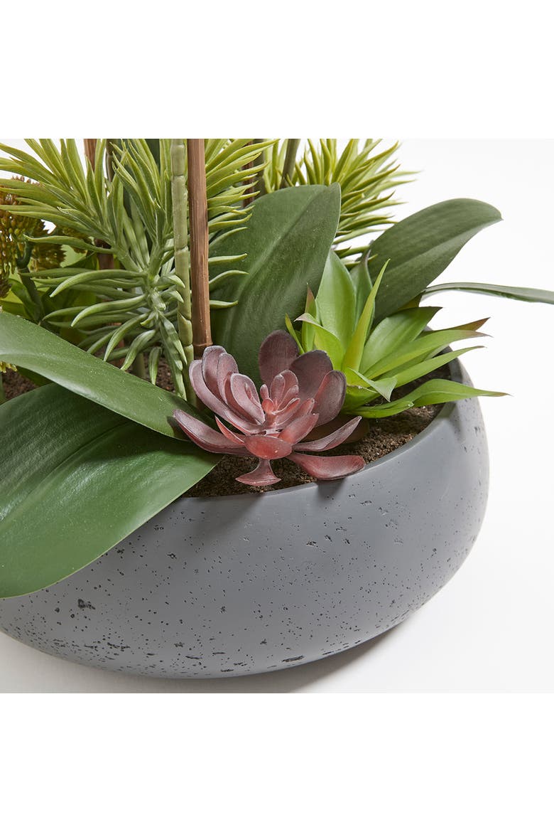 Artificial Orchid with Succulents, Alternate, color, White, green, grey