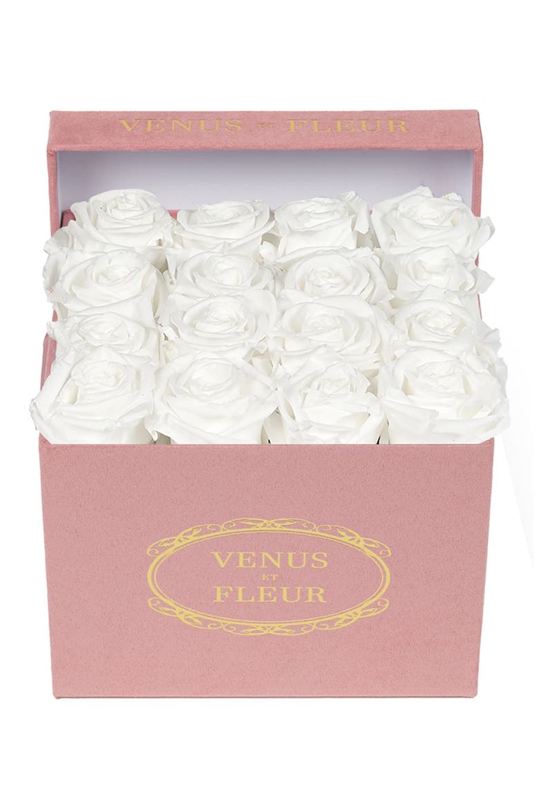Classic Small Square Eternity Roses, Main, color, PURE WHITE