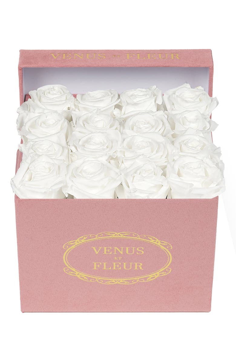 Venus ET Fleur Classic Small Square Eternity Roses, Main, color, 