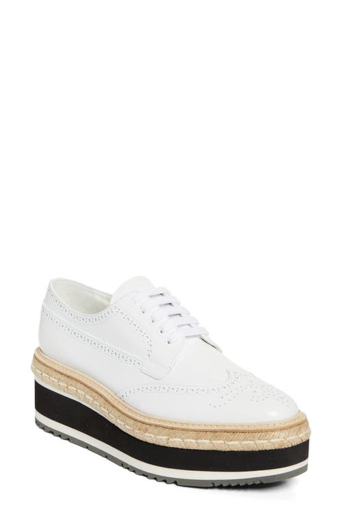 Prada Scarpe Stringate In Pelle Bianca  Donna In Bianco