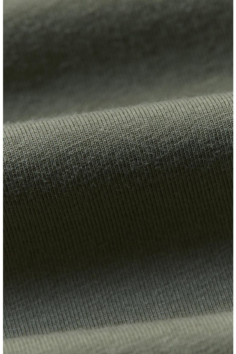 Luxe Essential Slim Fit Crewneck Tee Made With Organic Cotton, Alternate, color, Dusted Green