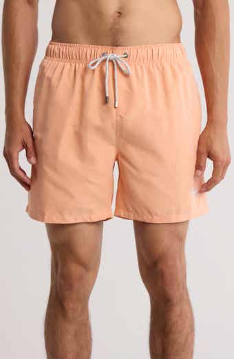 Vintage Summer Volley Swim Shorts