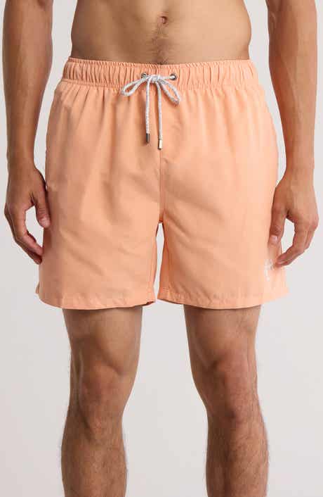 Vintage Summer Volley Swim Shorts