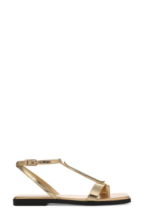 SARTO BY FRANCO SARTO SARTO BY FRANCO SARTO LOGAN ANKLE STRAP SANDAL 